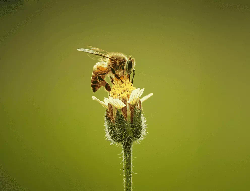 about_us.comunity_img_alt